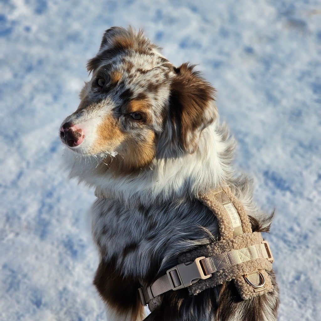 Sand Sherpa Dog Harness, detail view
