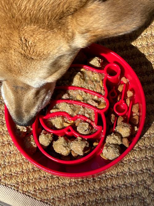 SodaPup Santa Christmas eBowl – Deep Slow Feeder Dog Bowl, USA Made – alternate view 6