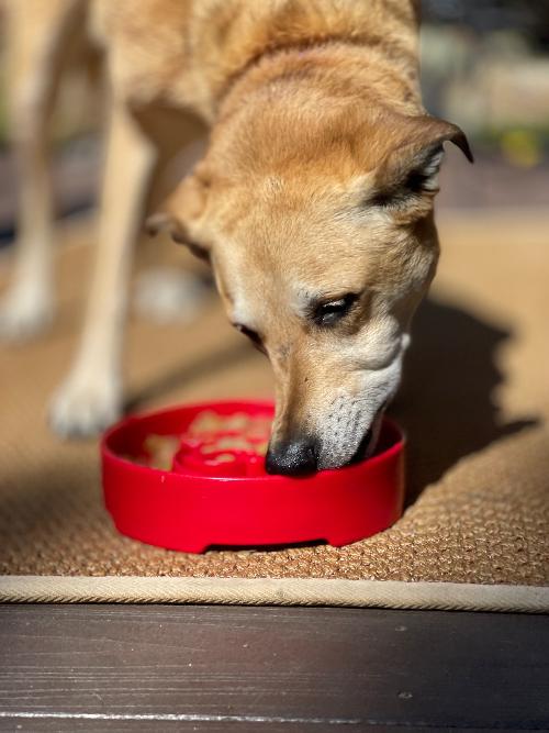 SodaPup Santa Christmas eBowl – Deep Slow Feeder Dog Bowl, USA Made – alternate view 10