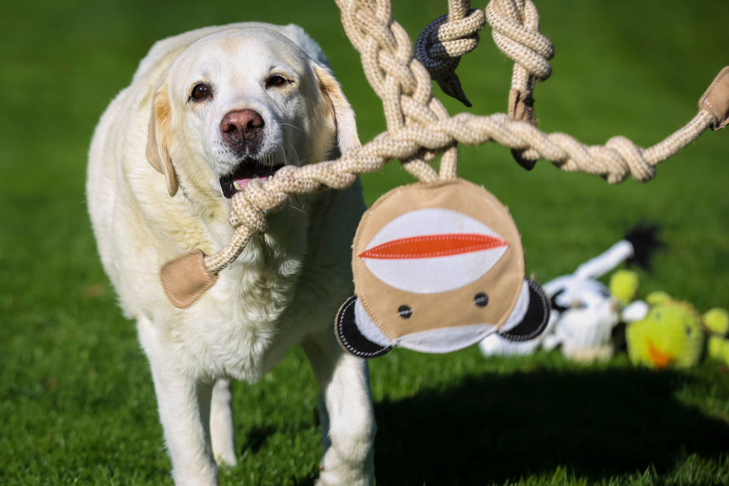 Stuey Sock Monkey Natural Rope Knottie Dog Toy Large 9mm rope diameter, detail view