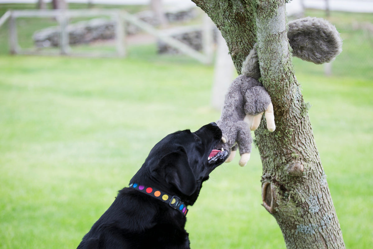 Feller Squirrel Plush Dog Toy, view 9