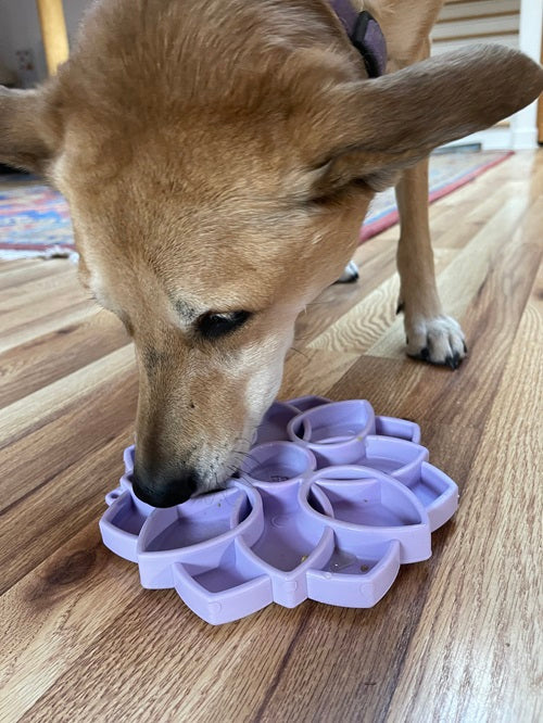 SodaPup Mandala Softie eTray – Suction Cup Feeder – alternate view 8