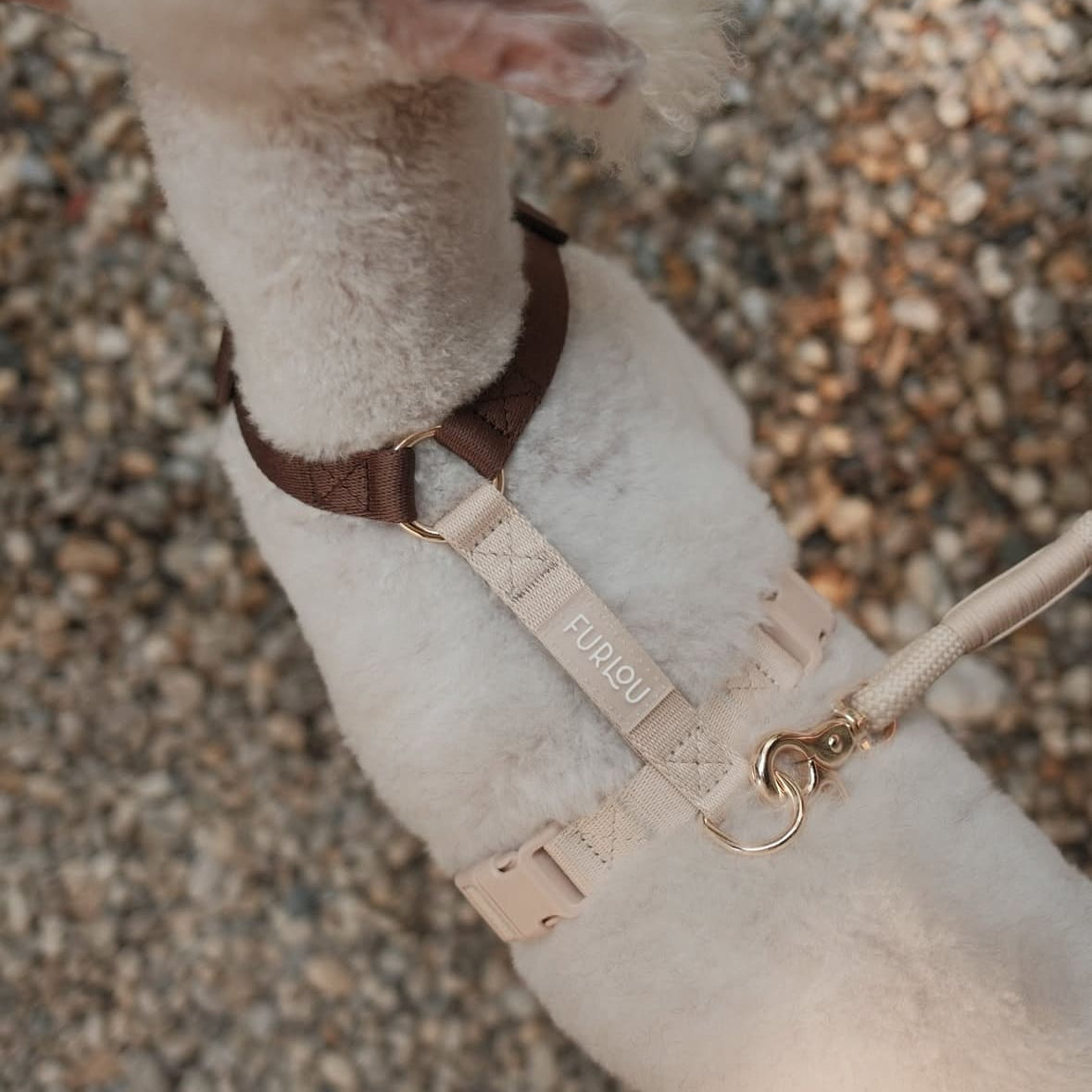 Brown and Tan Dog Harness, detail view