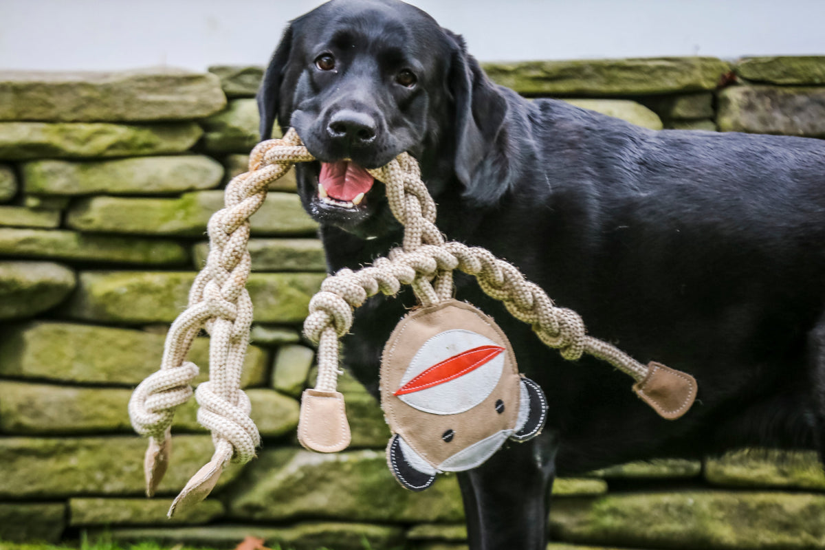 Natural Rope Knottie Dog Toys 3 Pack XL 16mm rope diameter, back view
