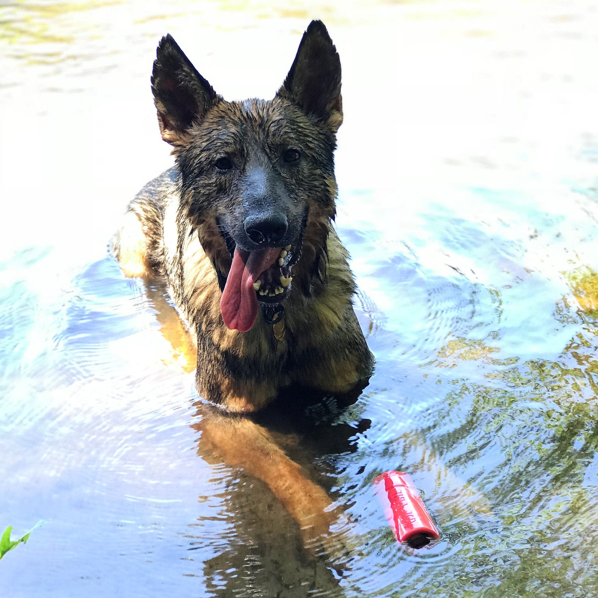 USA-K9 Firecracker red floating rubber training dummy dog toy – photo 12 of 15