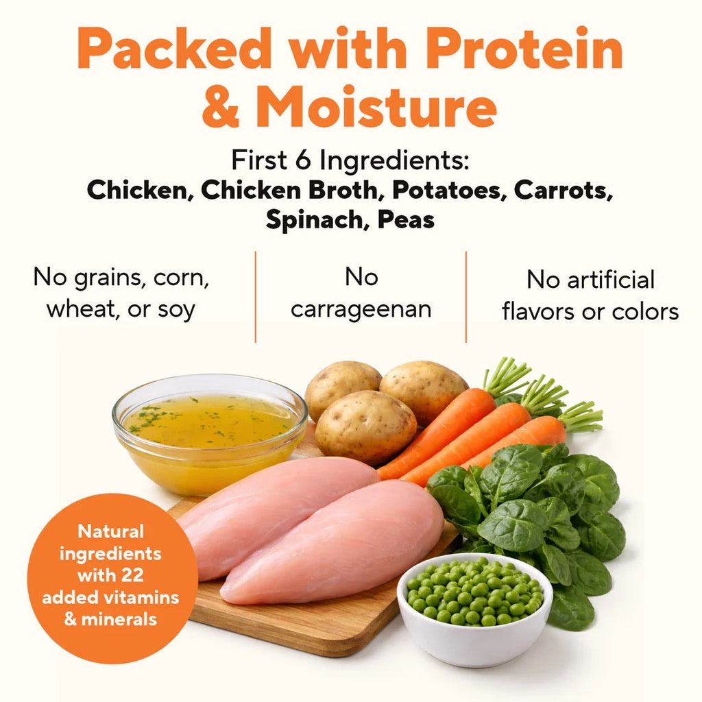 Dave's Stewlicious Chicken Pot Pie Wet Dog Food (13.2oz) – alternate view 2