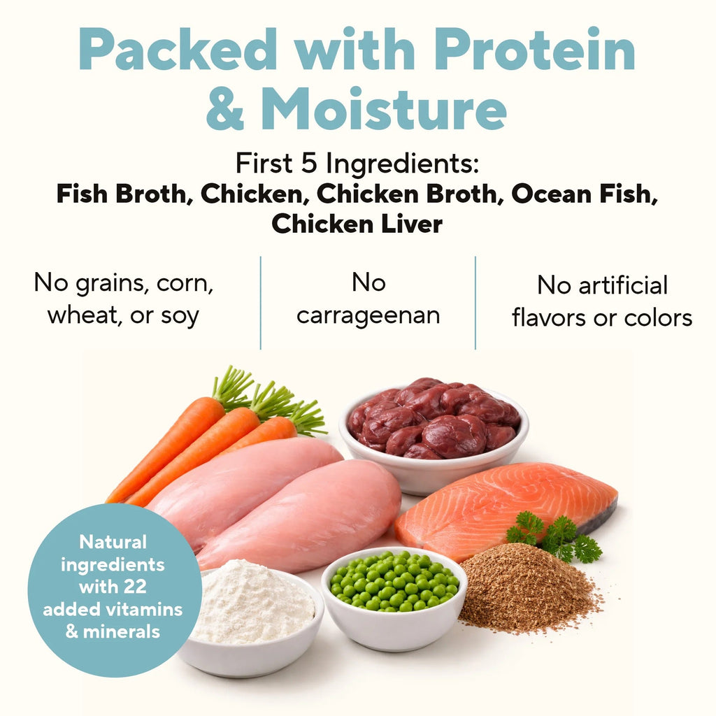 Dave's Stewlicious Surf & Turf w/ Chicken & Salmon Wet Dog Food (13.2oz) – alternate view 2