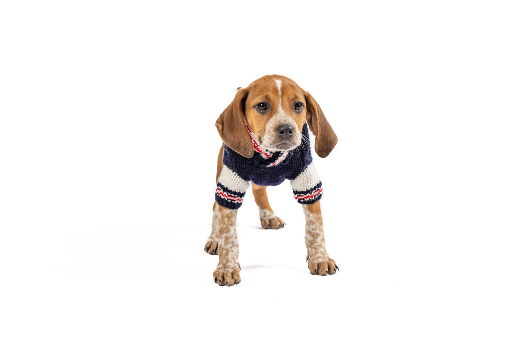 Varsity Dog Sweater Blue and White with Leash Slit – photo 3 of 5