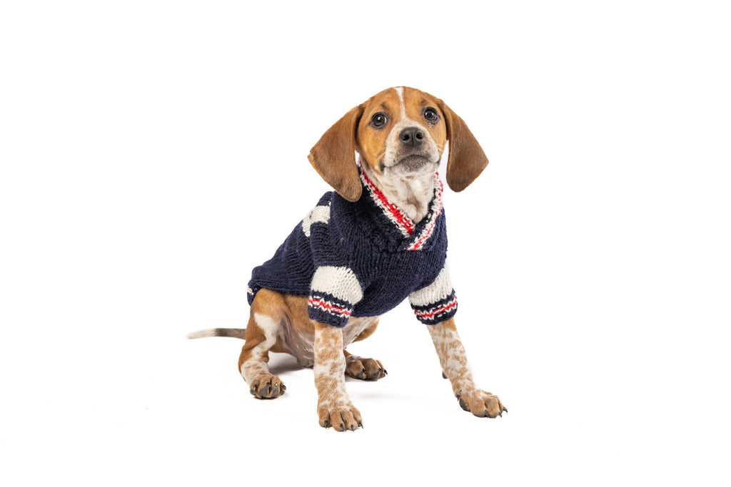Varsity Dog Sweater Blue and White with Leash Slit – photo 2 of 5