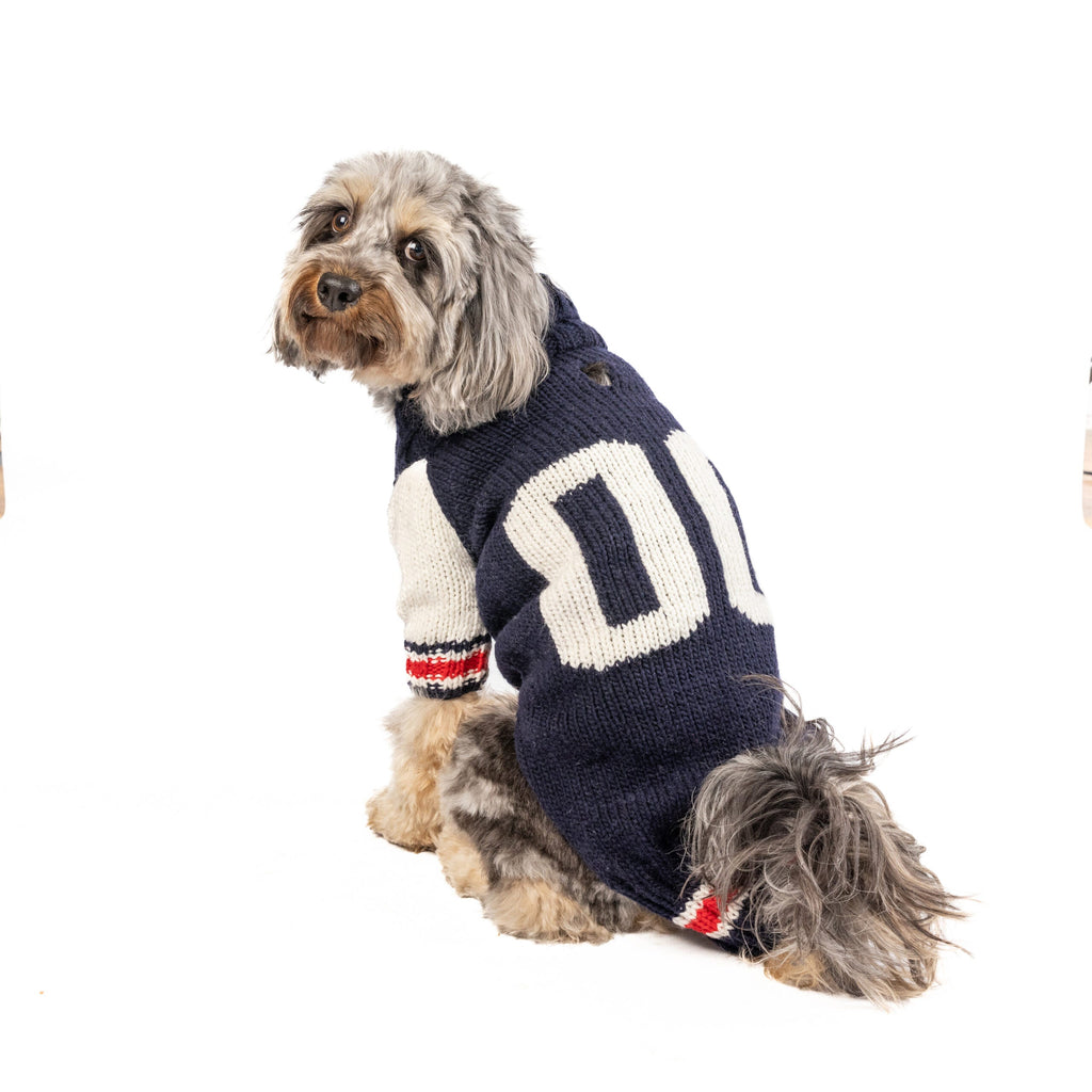 Varsity Dog Sweater Blue and White with Leash Slit – photo 4 of 5