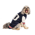 Varsity Dog Sweater Blue and White with Leash Slit – photo 1 of 5