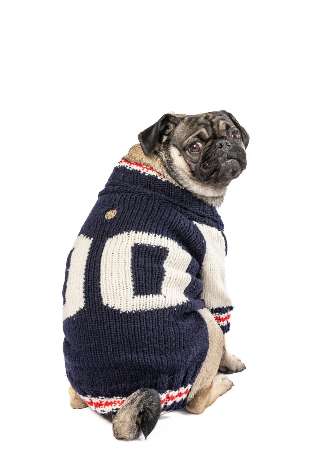 Varsity Dog Sweater Blue and White with Leash Slit – photo 5 of 5