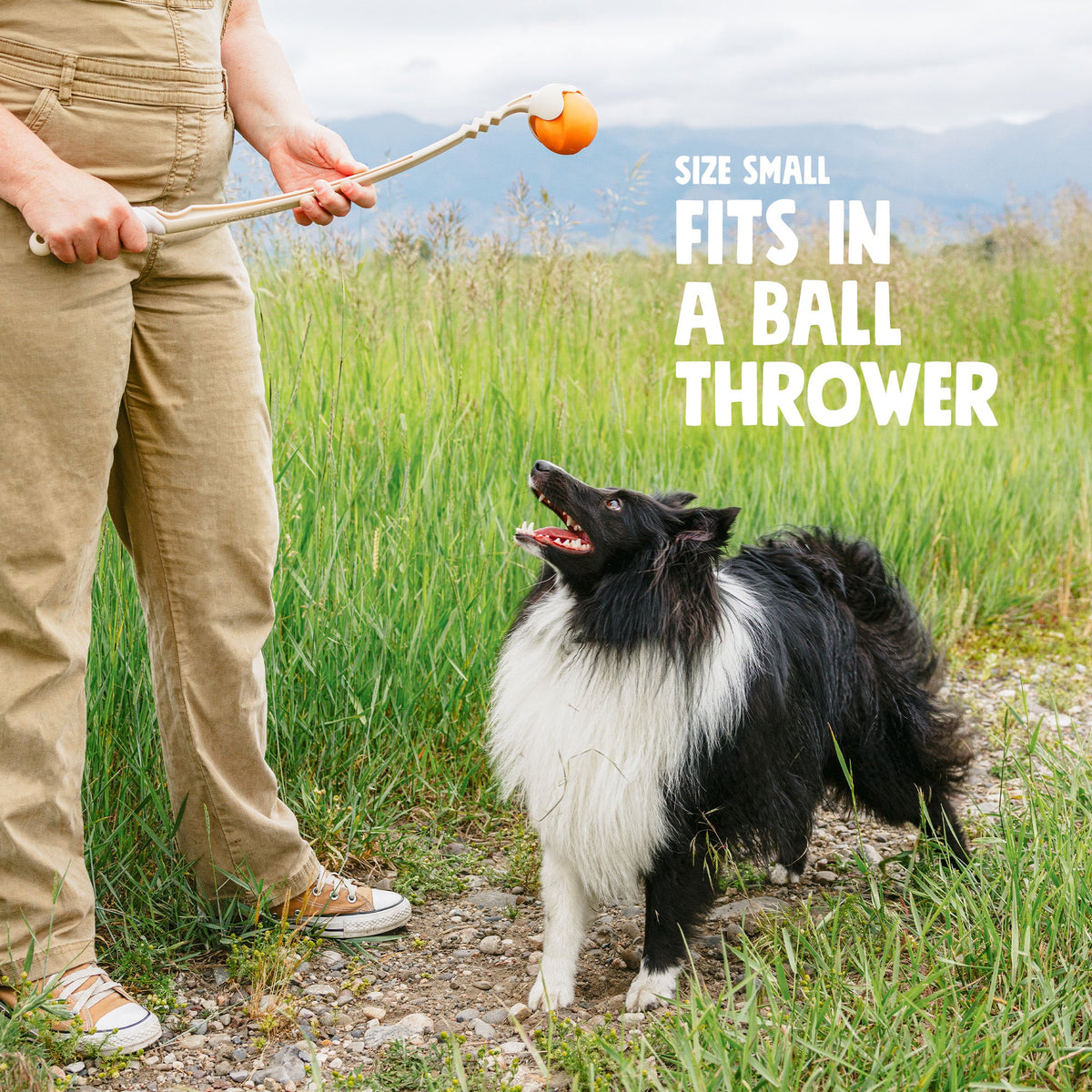 Jive Dog Chew Toy – Durable – alternate view 6