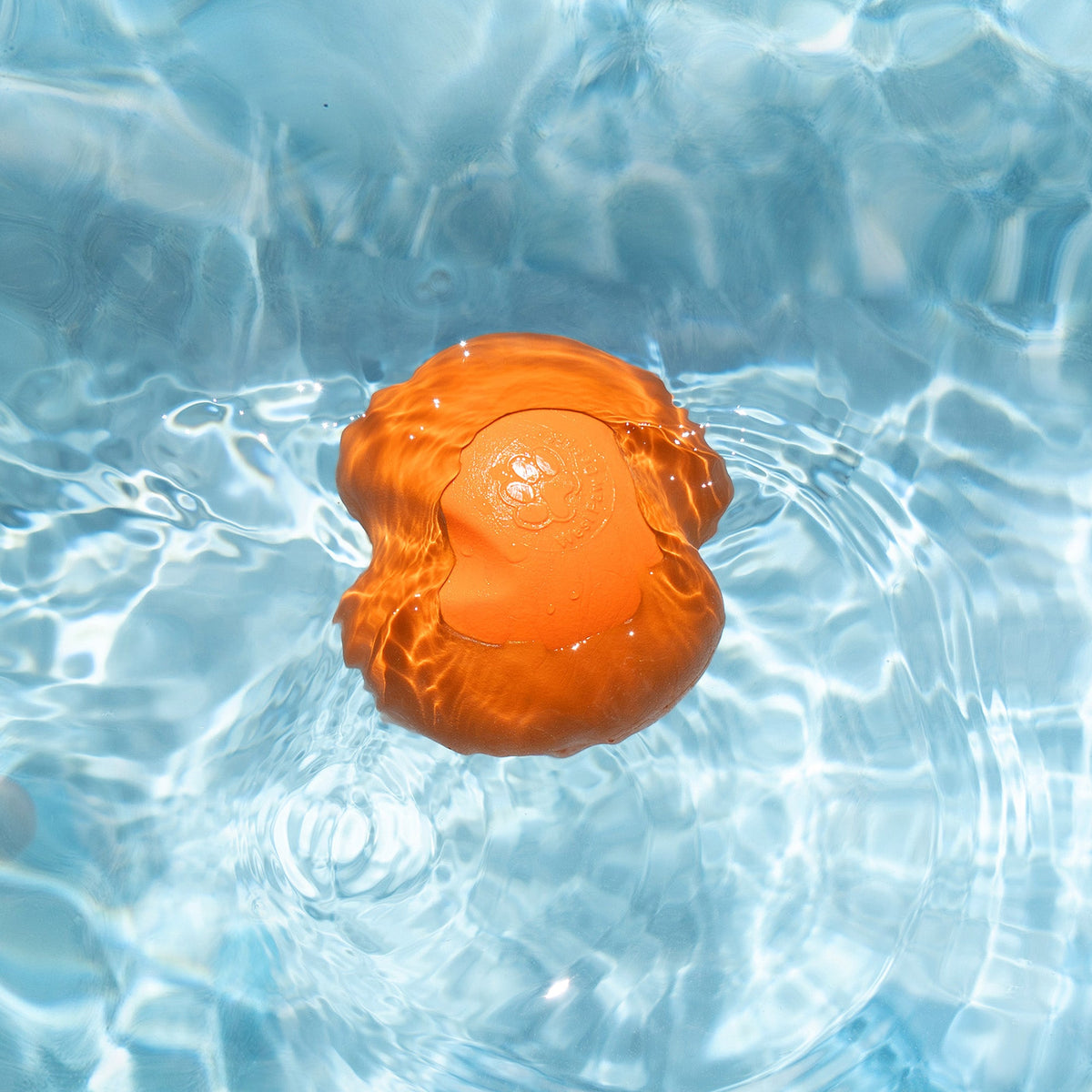 Jive Dog Chew Toy – Durable – alternate view 4