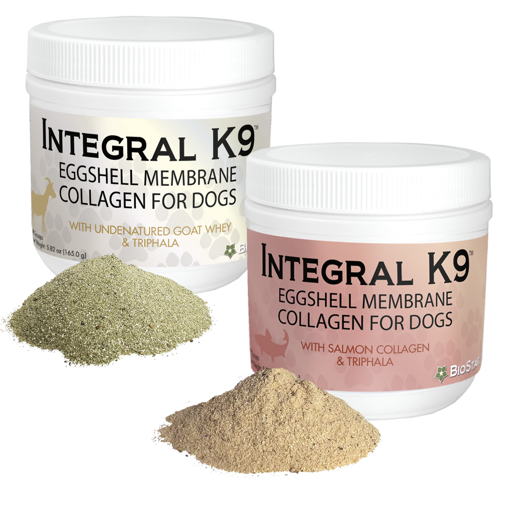 BioStar Integral K9 collagen powder for dogs – photo 1 of 7