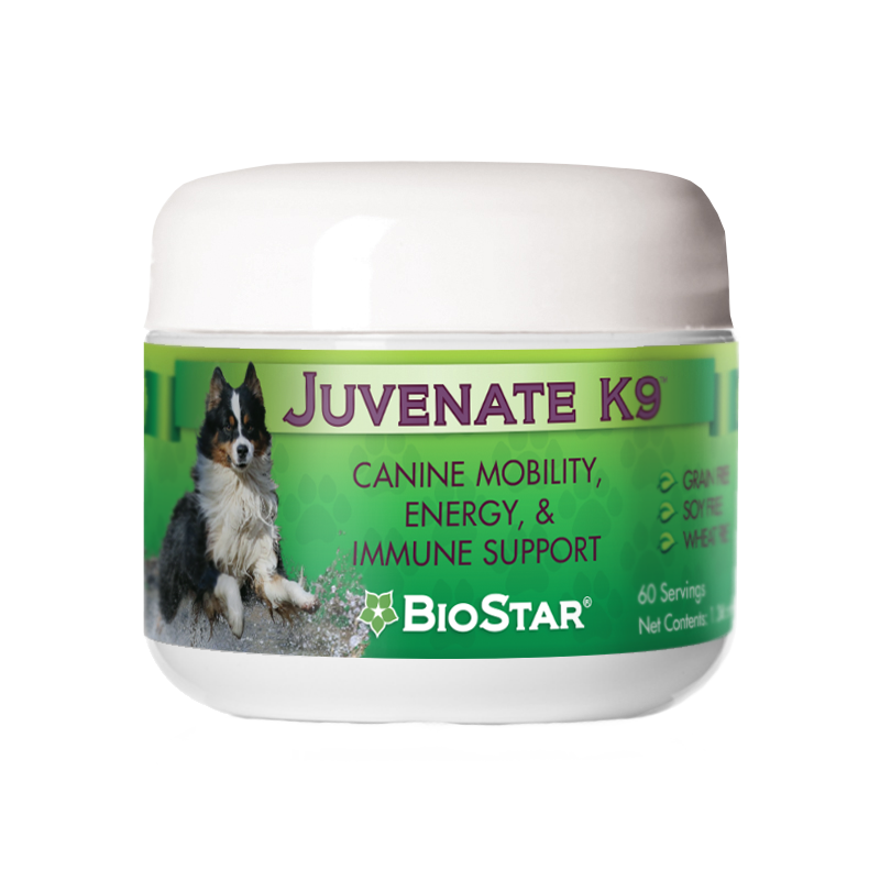 BioStar Juvenate K9 mobility and energy supplement for dogs – photo 3 of 4
