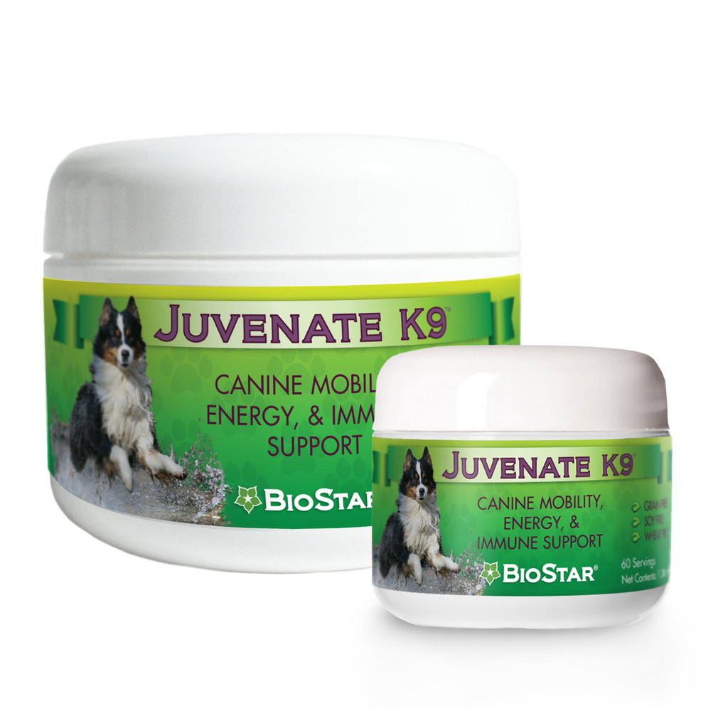 BioStar Juvenate K9 mobility and energy supplement for dogs – photo 1 of 4