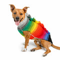 Rainbow Mohawk Dog Sweater Colorful Hand Knit – photo 1 of 5