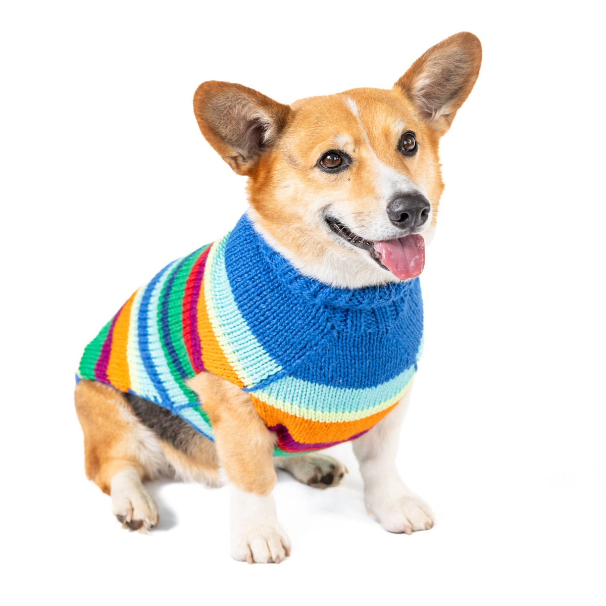 Alpaca Royal Stripe Dog Sweater Bold Rainbow Stripes – photo 5 of 9