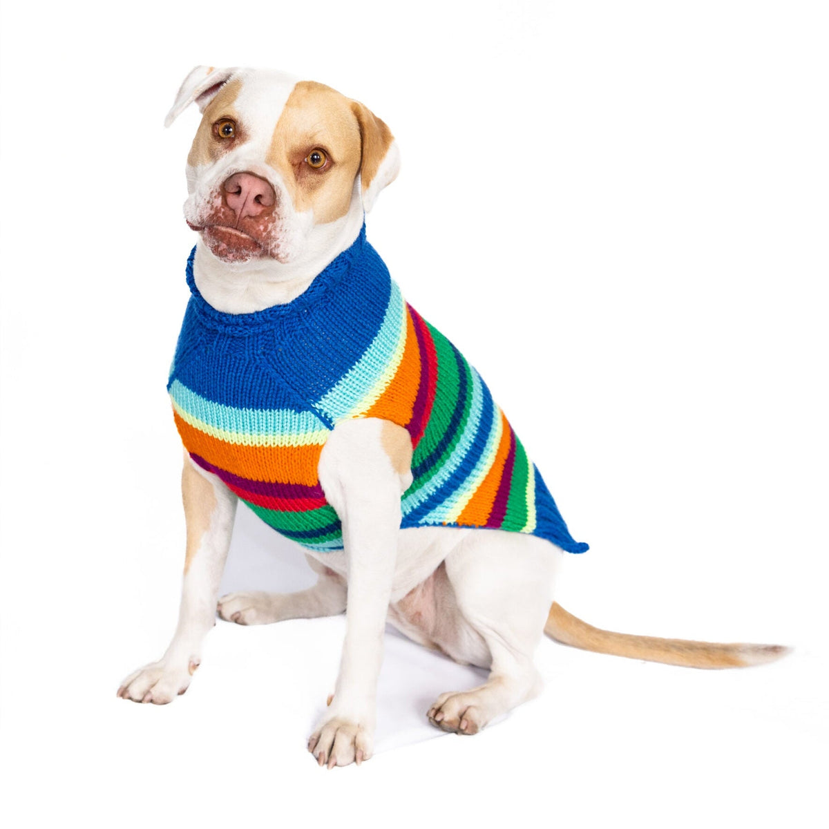 Alpaca Royal Stripe Dog Sweater Bold Rainbow Stripes – photo 6 of 9