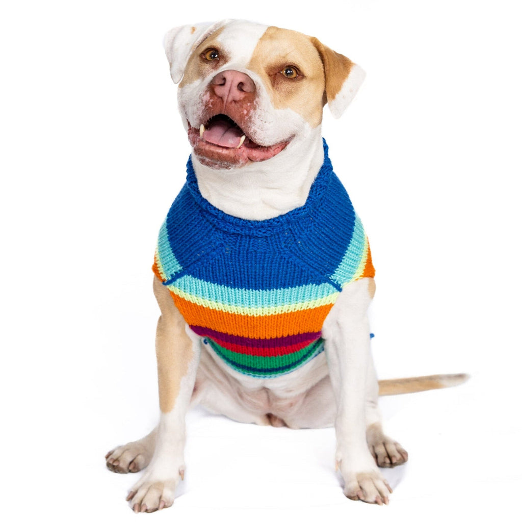 Alpaca Royal Stripe Dog Sweater Bold Rainbow Stripes – photo 7 of 9