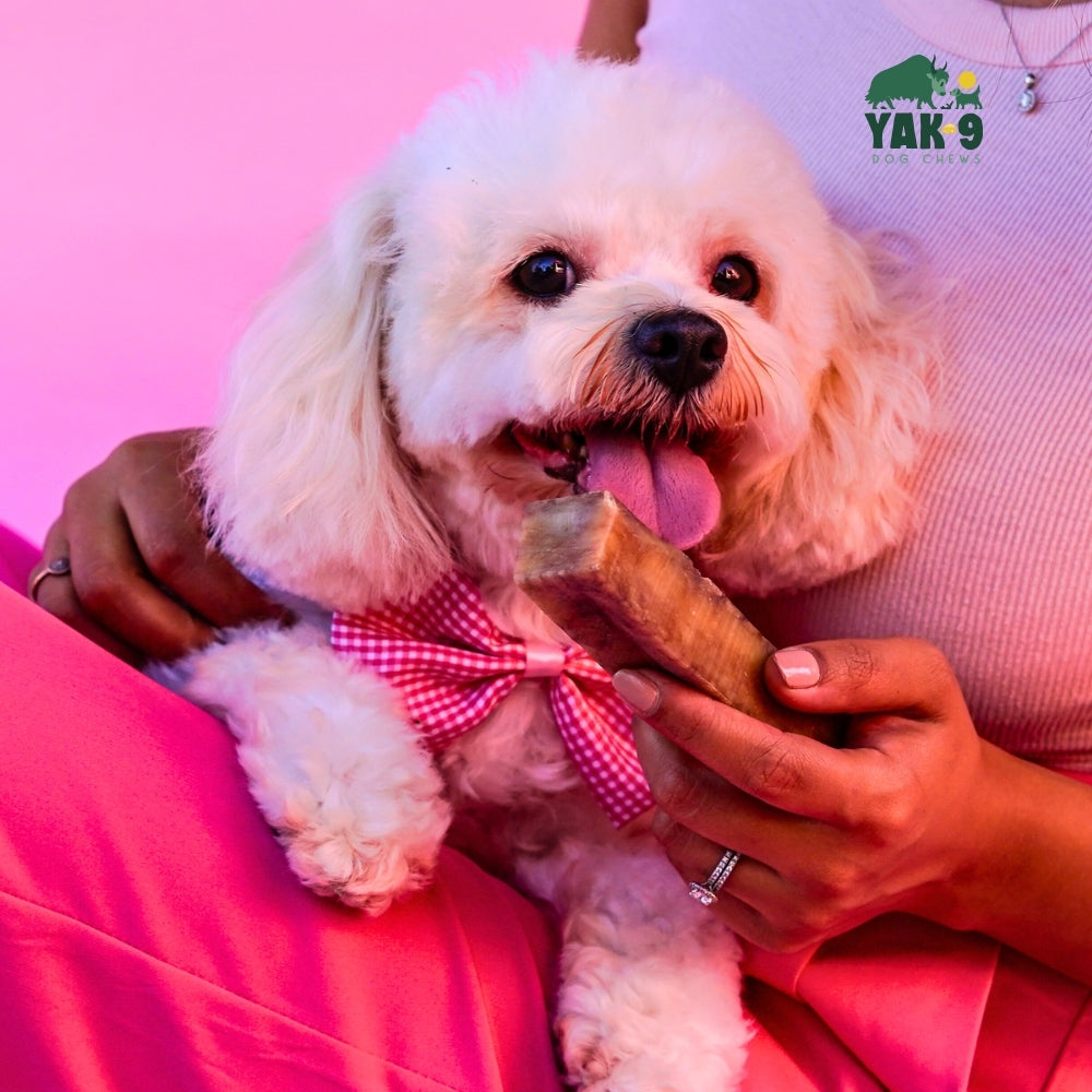 Strawberry Cheese Chews for Dogs – alternate view 2