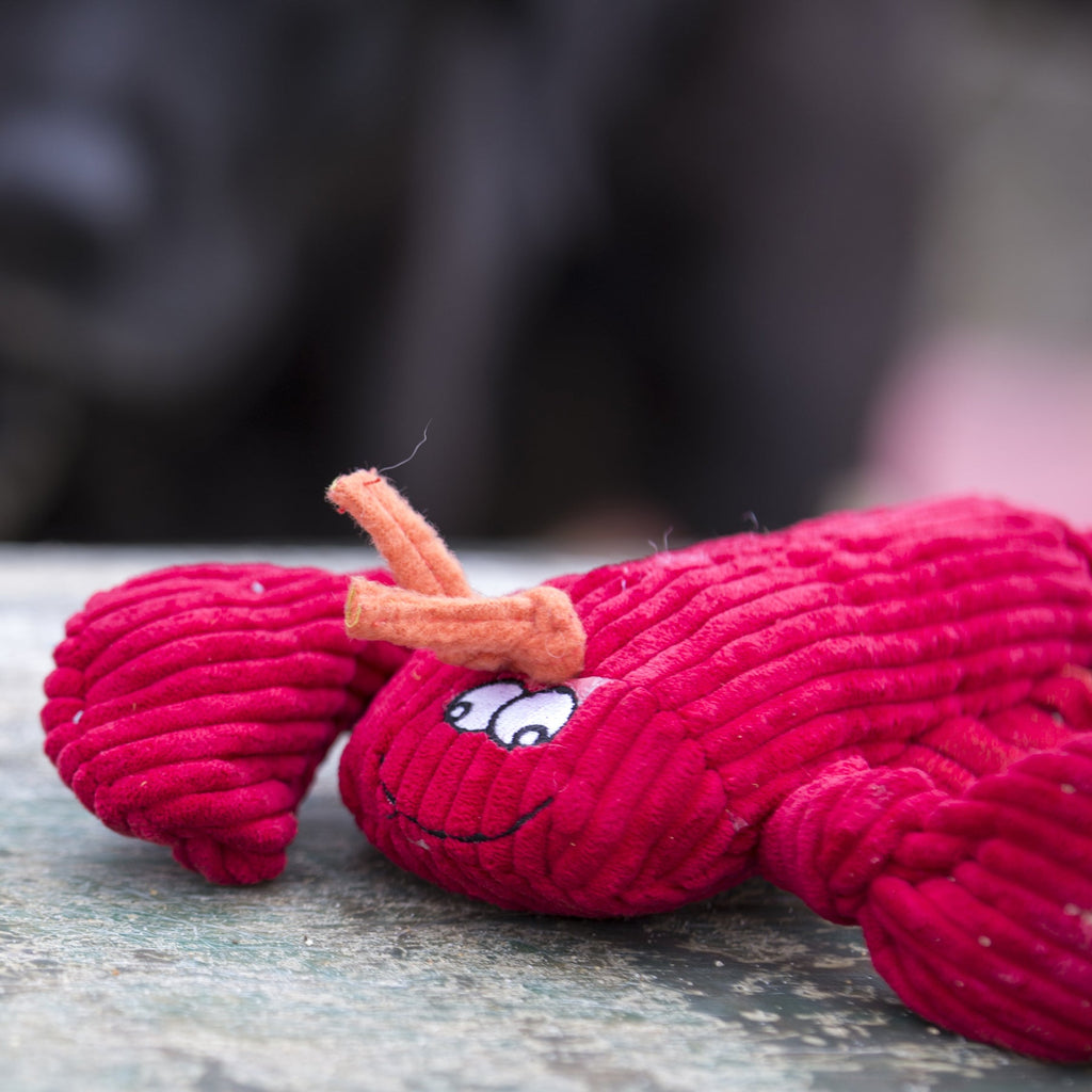 McCraken Lobsta Knottie Plush Dog Toy, packaging