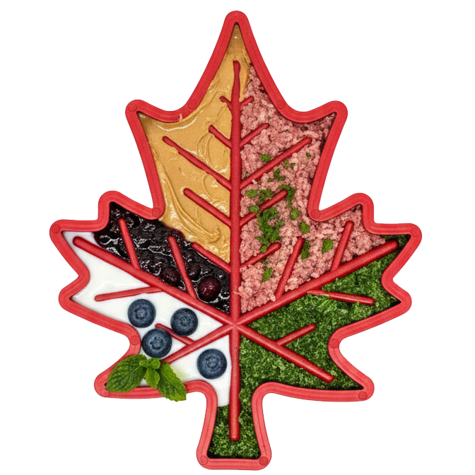 SodaPup Canadian Maple Leaf nylon dog chew toy – photo 1 of 10