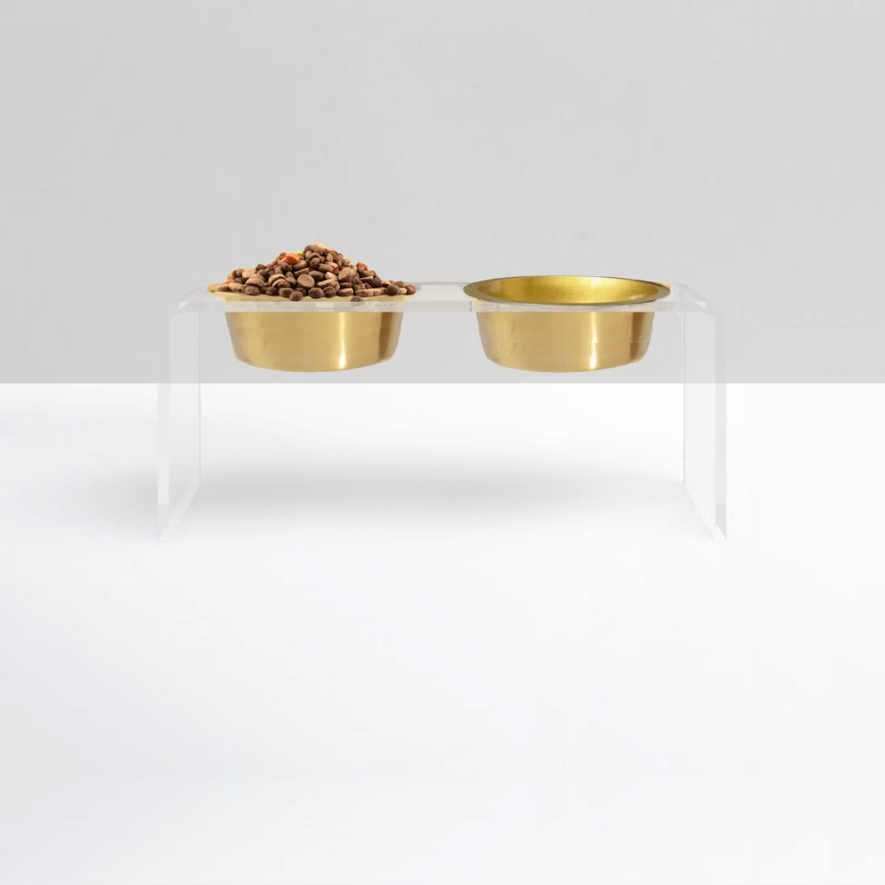 Hiddin Medium Gold Lucite Feeder – Elevated Bowls – alternate view 2