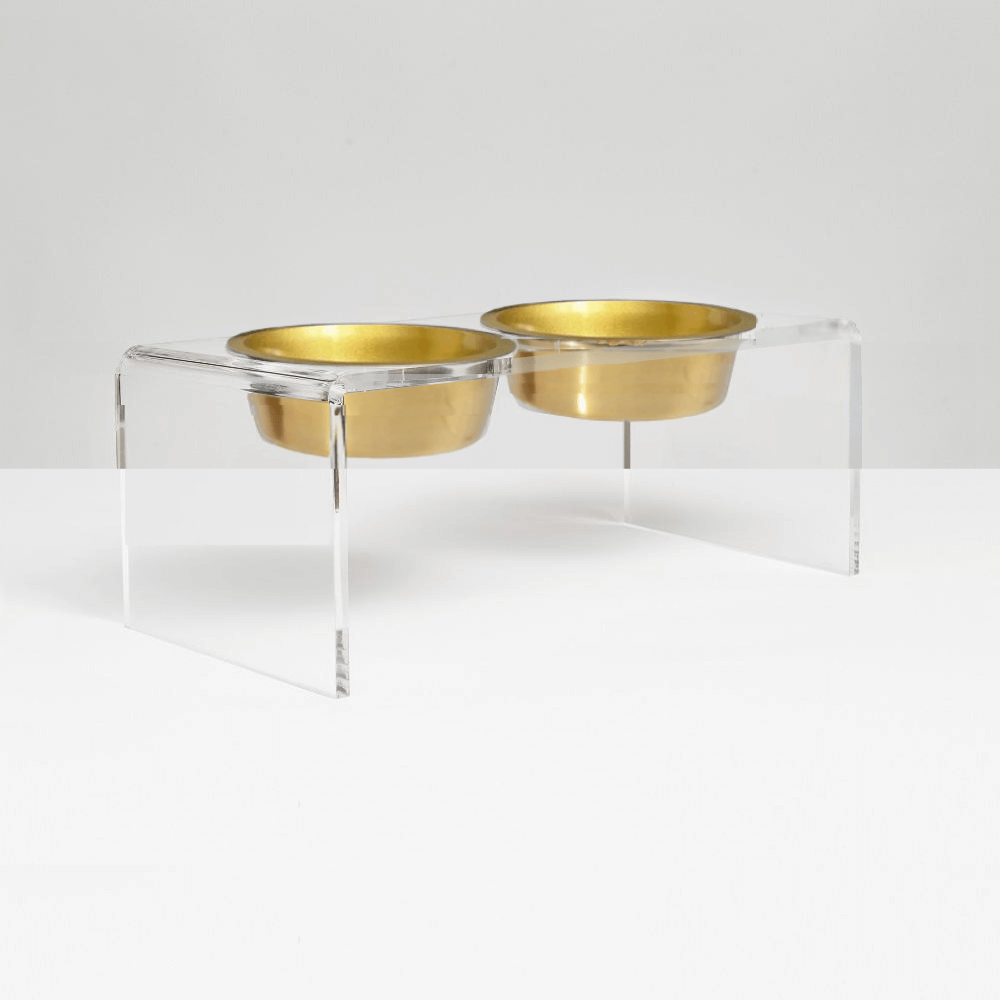 Hiddin Medium Gold Lucite Feeder – Elevated Bowls – alternate view 4