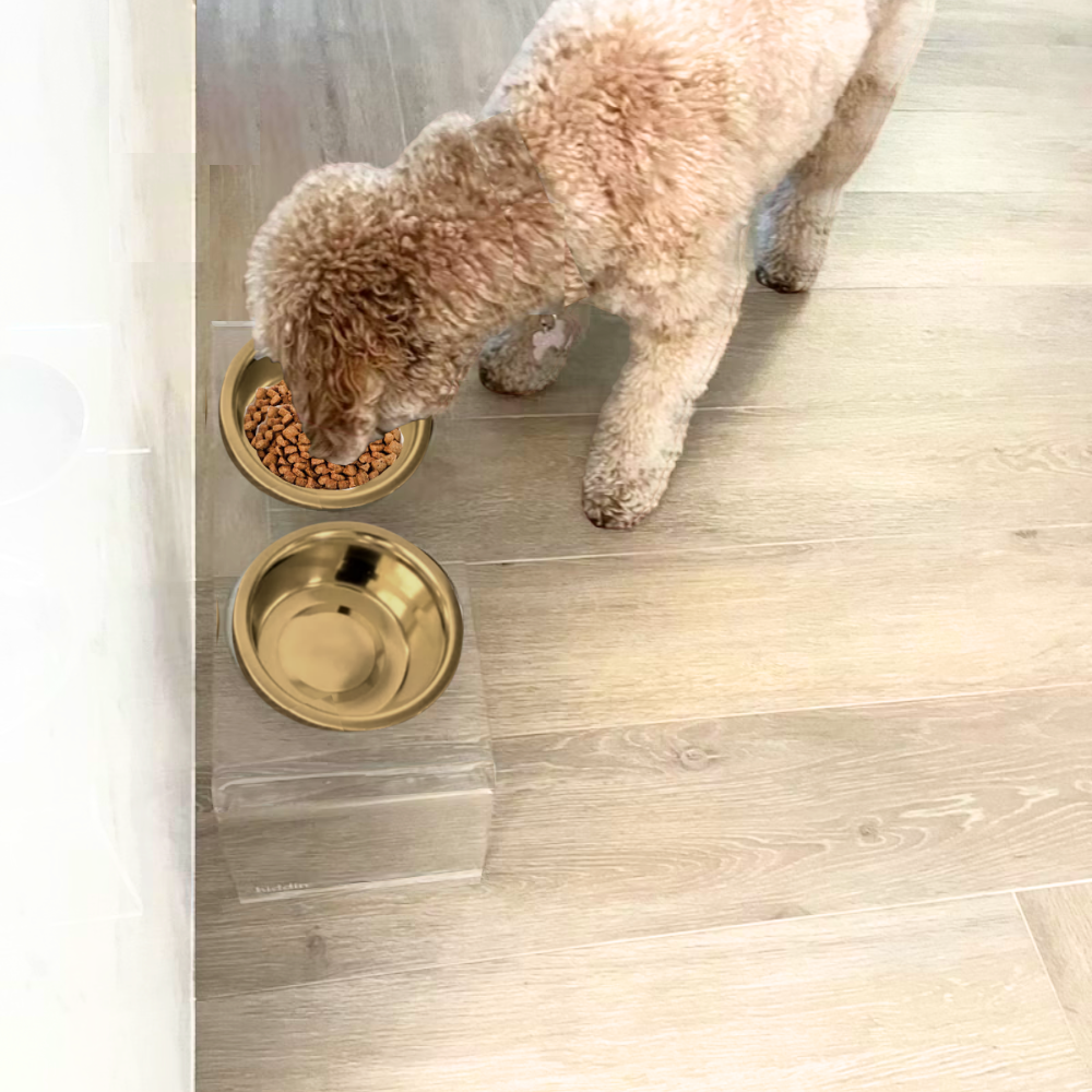 Hiddin Medium Gold Lucite Feeder – Elevated Bowls – alternate view 15
