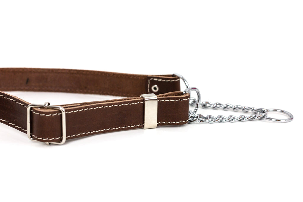 Martingale Leather Dog Collar – alternate view 4