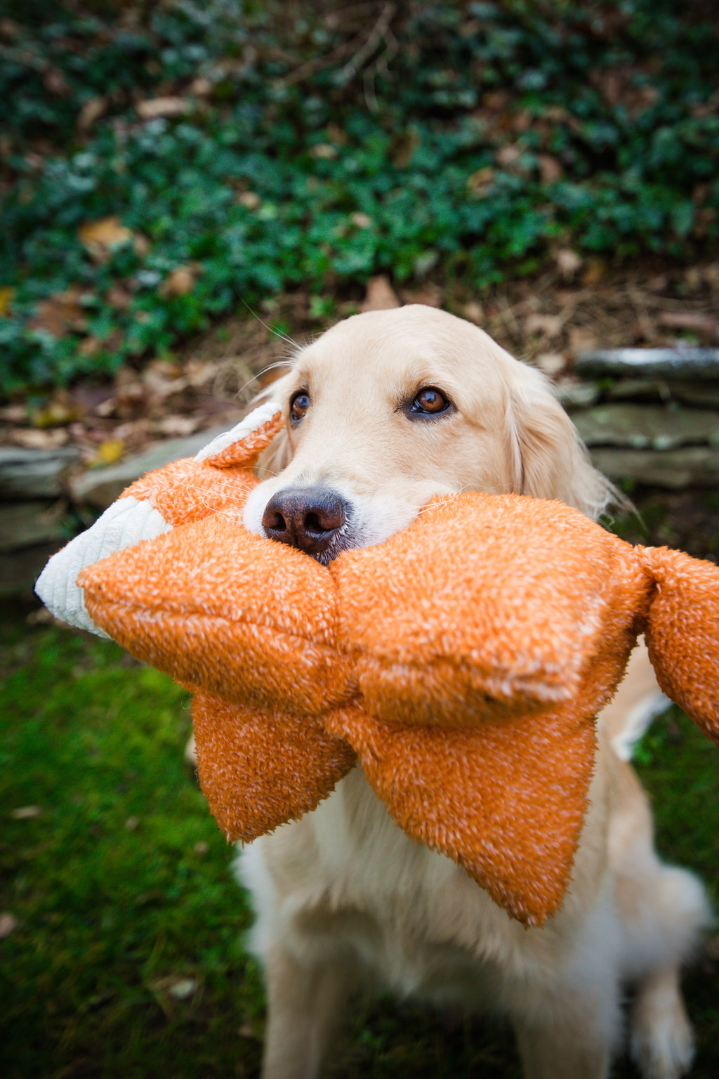Squooshie Fox Plush Dog Toy, side view