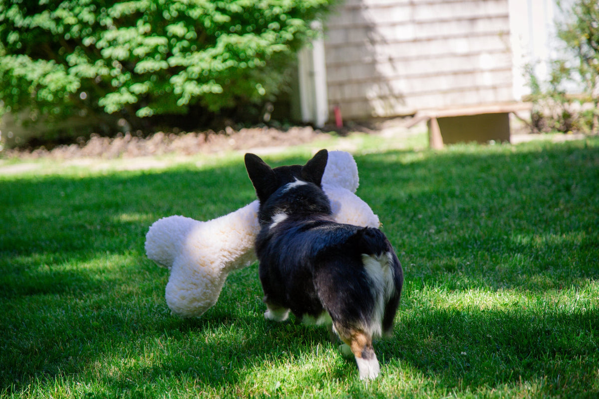 HuggleFleece 2 Plush Bone Dog Toy, detail view