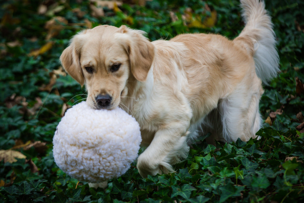 HuggleFleece Plush Ball Dog Toy, side view