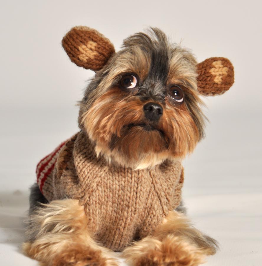 Monkey Hoodie Dog Sweater Sock Monkey Style – photo 2 of 6