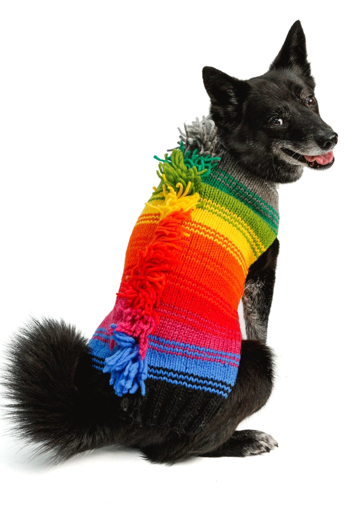 Rainbow Mohawk Dog Sweater Colorful Hand Knit – photo 3 of 5