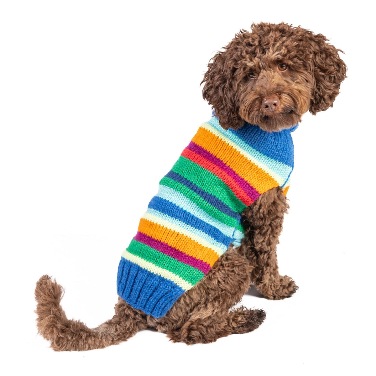 Alpaca Royal Stripe Dog Sweater Bold Rainbow Stripes – photo 1 of 9