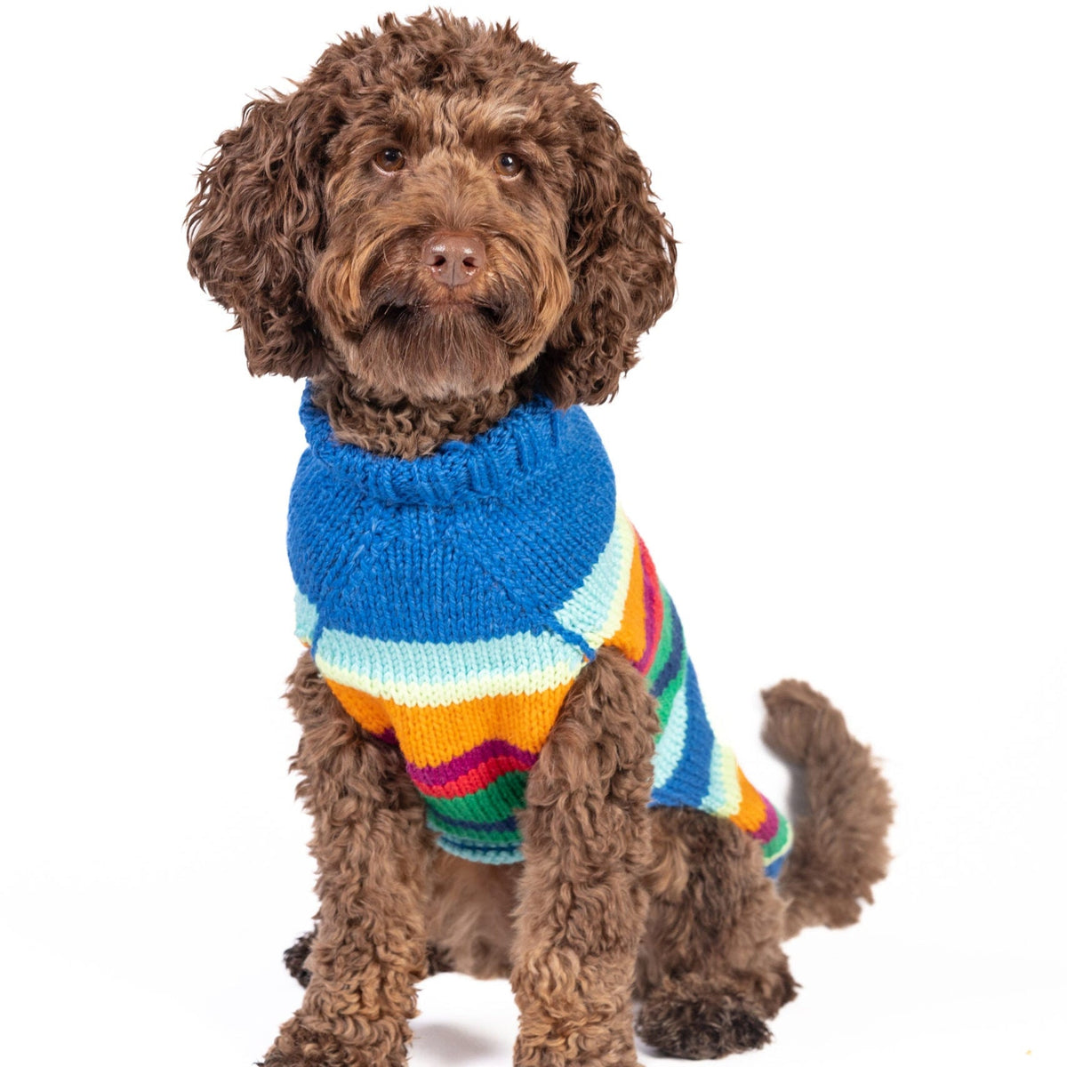 Alpaca Royal Stripe Dog Sweater Bold Rainbow Stripes – photo 9 of 9