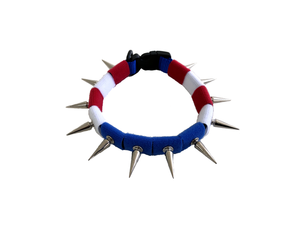 CoyoteCollar – Protective Dog Collar – alternate view 8