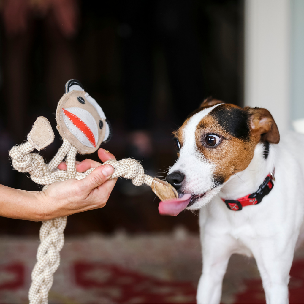 Stuey Sock Monkey Natural Rope Knottie Dog Toy Large 9mm rope diameter, alternate view