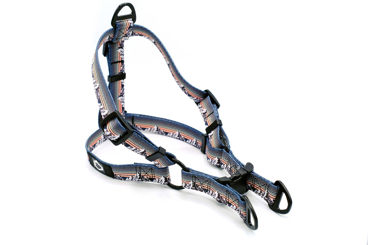 Outdoor Style Nylon Step-In Dog Harness – alternate view 2