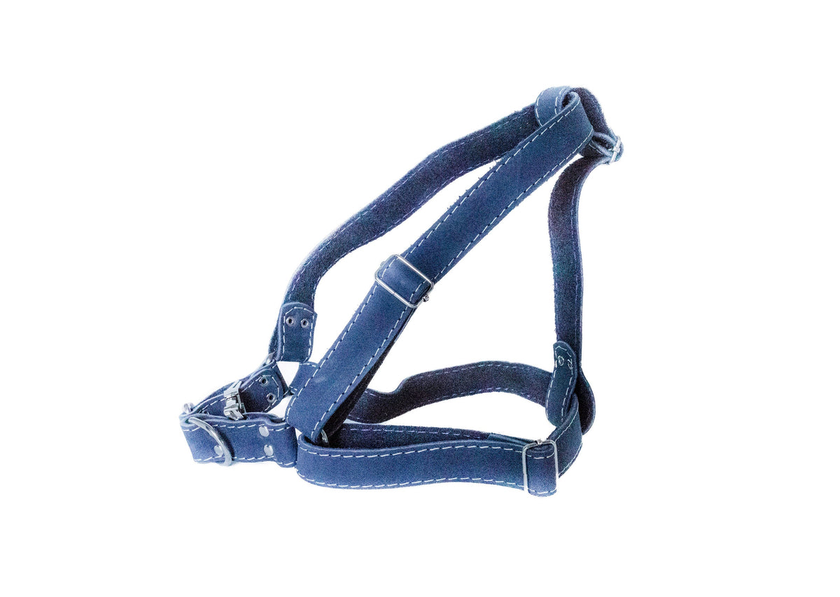 Step In Leather Dog Harness – front view
