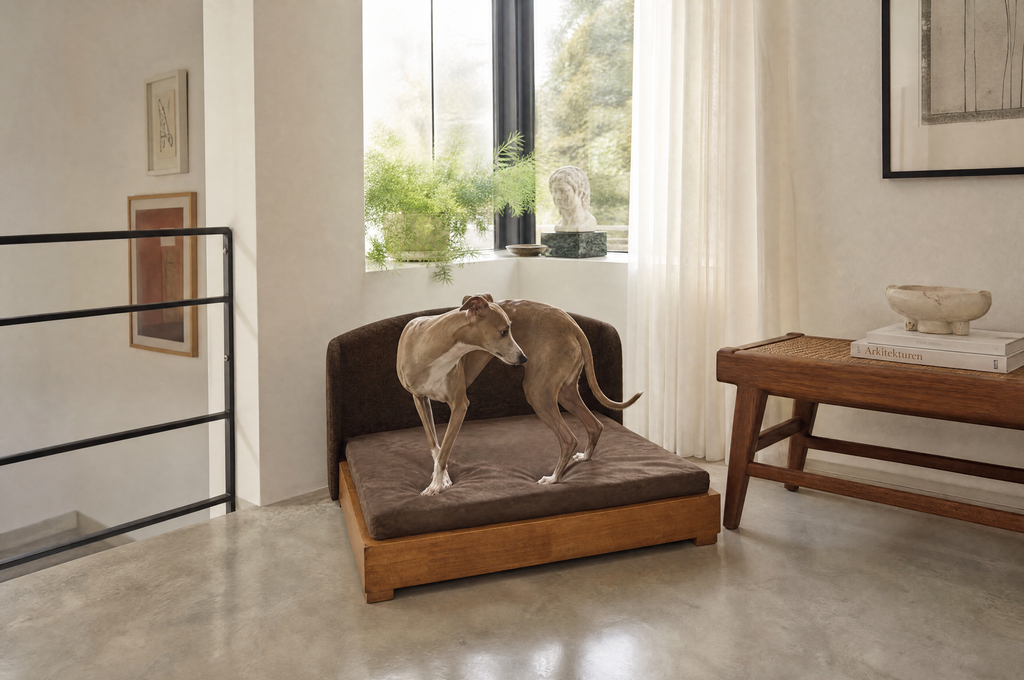 The Haven orthopedic dog bed beside a sofa
