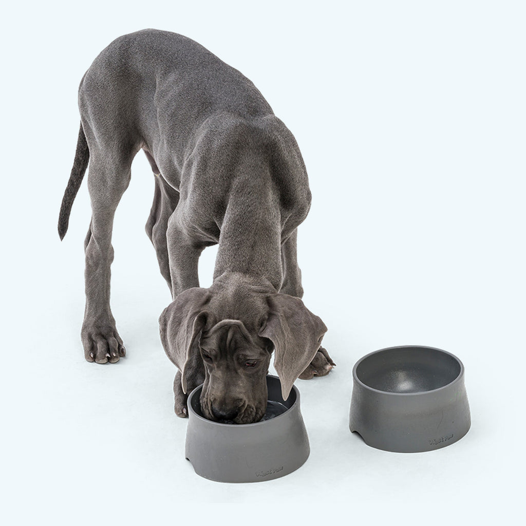 Non-Slip Dog Bowl – alternate view 4