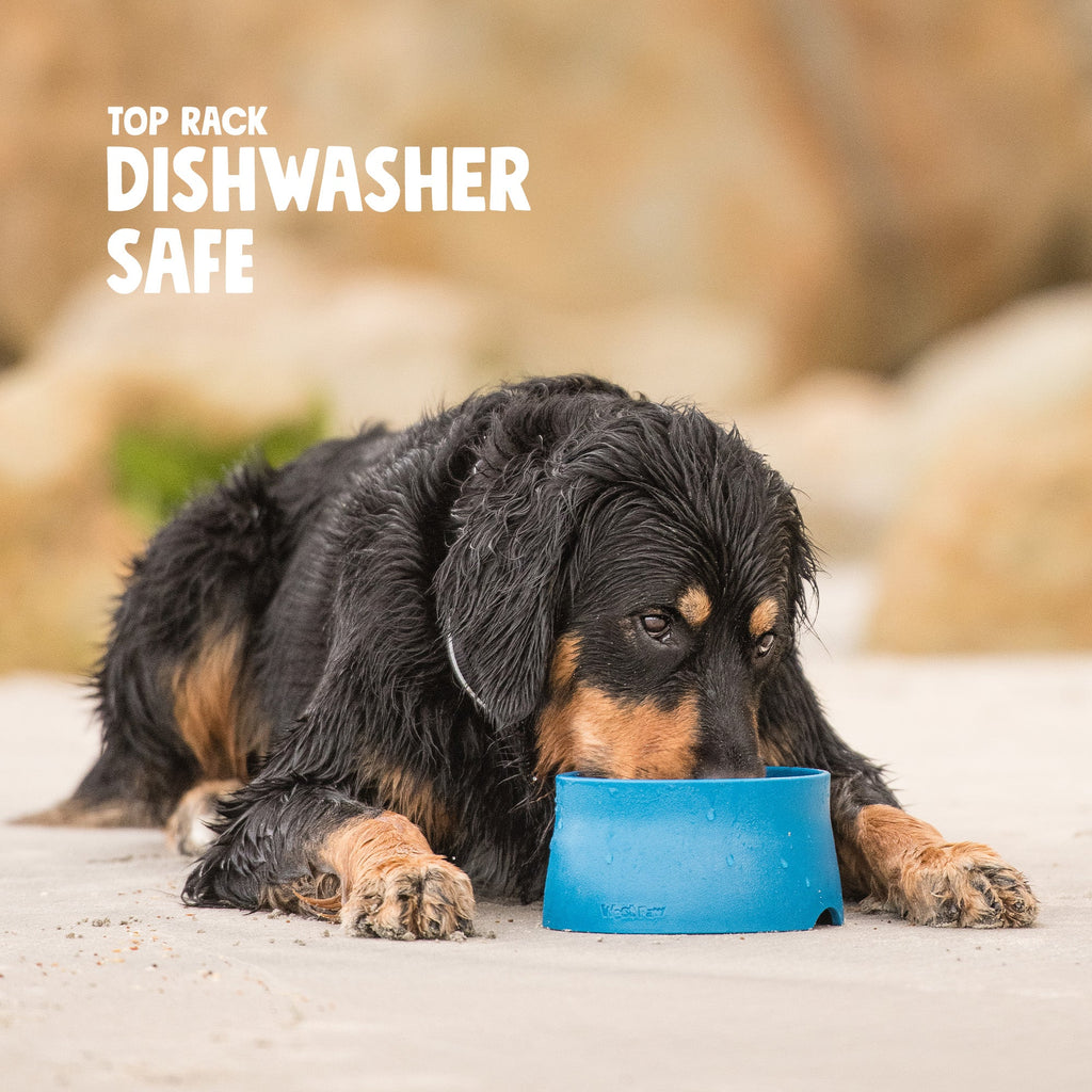 Non-Slip Dog Bowl – alternate view 3