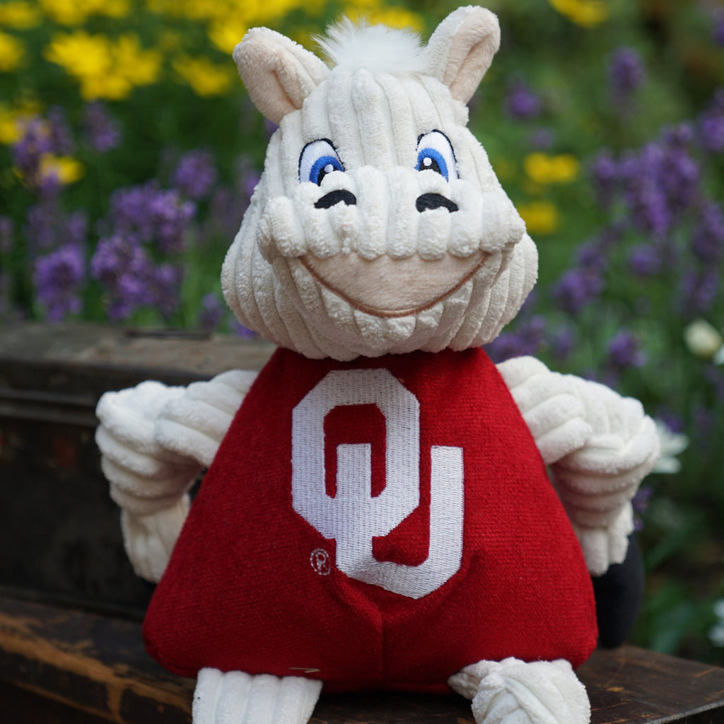 Ncaa University of Oklahoma Sooner Knottie Plush Dog Toy, lifestyle