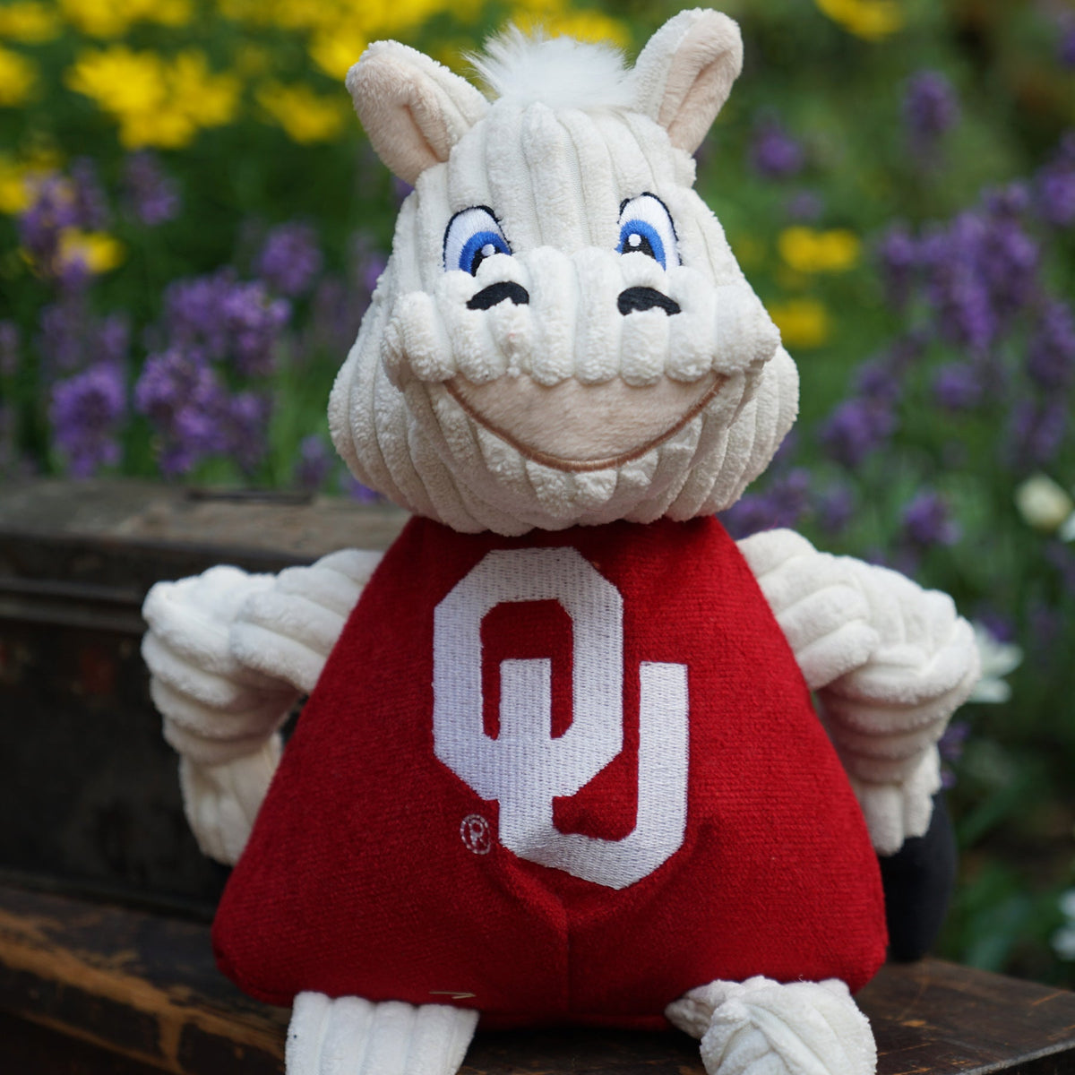 Ncaa University of Oklahoma Sooner Knottie Plush Dog Toy, lifestyle