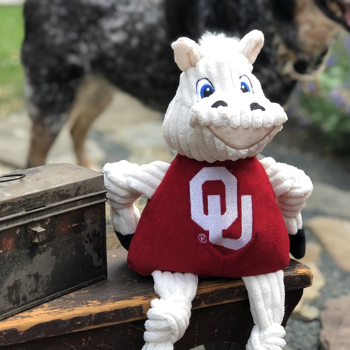 Ncaa University of Oklahoma Sooner Knottie Plush Dog Toy, back view