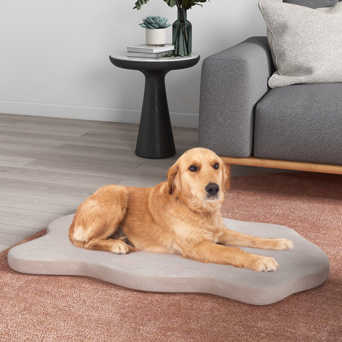 Orthopedic Dog Bed with Egg Crate Memory Foam for Large Dogs – photo 1 of 9